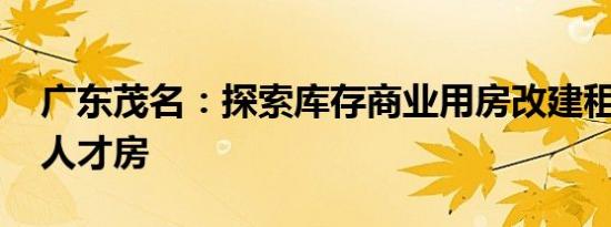 广东茂名：探索库存商业用房改建租赁住房、人才房