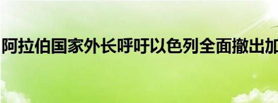 阿拉伯国家外长呼吁以色列全面撤出加沙地带