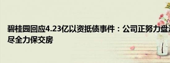 碧桂园回应4.23亿以资抵债事件：公司正努力盘活各类资产尽全力保交房