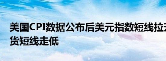 美国CPI数据公布后美元指数短线拉升美股期货短线走低