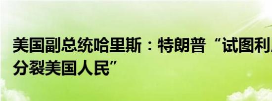 美国副总统哈里斯：特朗普“试图利用种族来分裂美国人民”