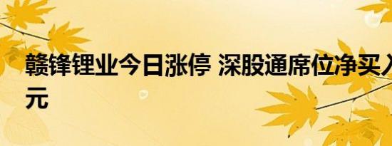 赣锋锂业今日涨停 深股通席位净买入2.12亿元