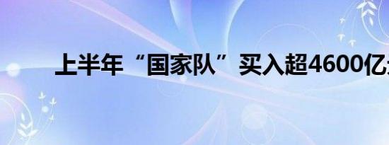 上半年“国家队”买入超4600亿元