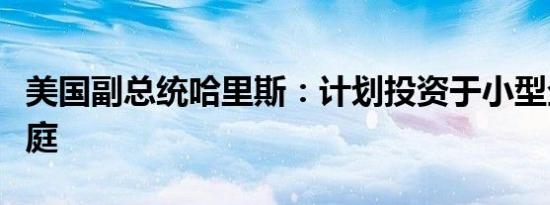 美国副总统哈里斯：计划投资于小型企业和家庭