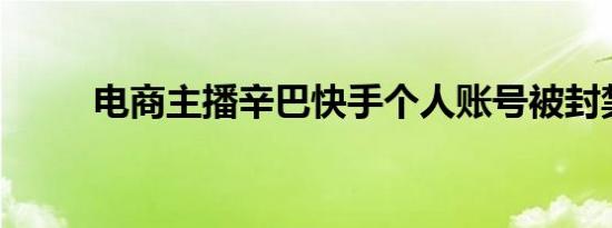 电商主播辛巴快手个人账号被封禁