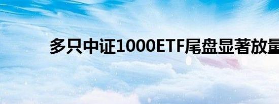 多只中证1000ETF尾盘显著放量