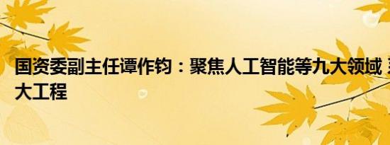 国资委副主任谭作钧：聚焦人工智能等九大领域 系统谋划重大工程