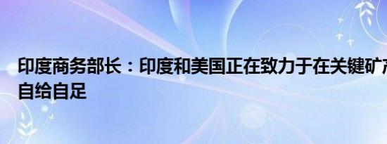 印度商务部长：印度和美国正在致力于在关键矿产领域实现自给自足