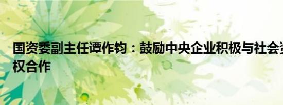 国资委副主任谭作钧：鼓励中央企业积极与社会资本开展股权合作