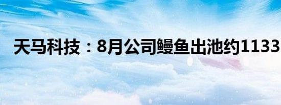 天马科技：8月公司鳗鱼出池约1133.17吨
