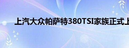 上汽大众帕萨特380TSI家族正式上市