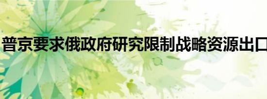 普京要求俄政府研究限制战略资源出口的措施