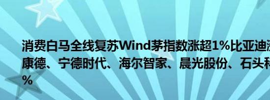 消费白马全线复苏Wind茅指数涨超1%比亚迪涨近4%药明康德、宁德时代、海尔智家、晨光股份、石头科技均涨超3%