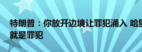特朗普：你放开边境让罪犯涌入 哈里斯：你就是罪犯