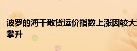 波罗的海干散货运价指数上涨因较大型船运费攀升
