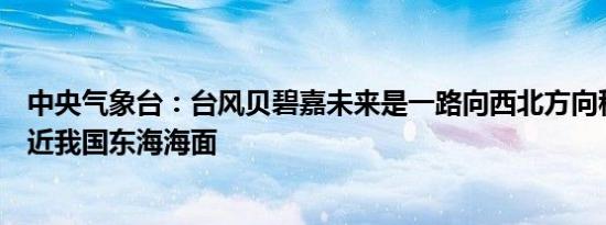中央气象台：台风贝碧嘉未来是一路向西北方向移动逐渐靠近我国东海海面