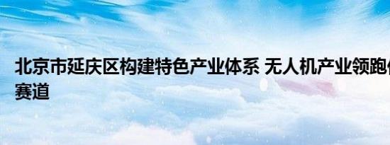北京市延庆区构建特色产业体系 无人机产业领跑低空经济新赛道