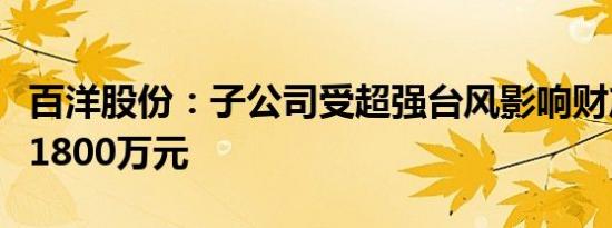 百洋股份：子公司受超强台风影响财产损失约1800万元