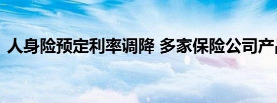 人身险预定利率调降 多家保险公司产品上新