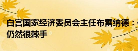 白宫国家经济委员会主任布雷纳德：住房问题仍然很棘手