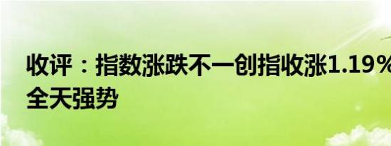 收评：指数涨跌不一创指收涨1.19% 锂矿股全天强势