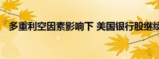 多重利空因素影响下 美国银行股继续走低