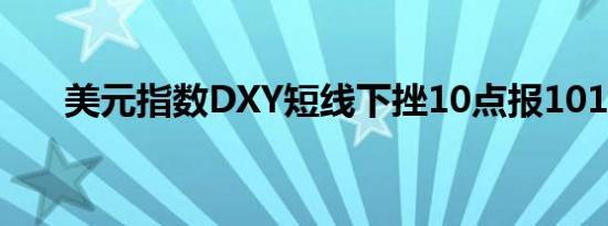美元指数DXY短线下挫10点报101.49