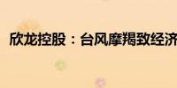 欣龙控股：台风摩羯致经济损失约720万元