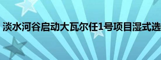 淡水河谷启动大瓦尔任1号项目湿式选矿作业