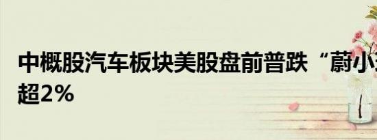 中概股汽车板块美股盘前普跌“蔚小理”均跌超2%