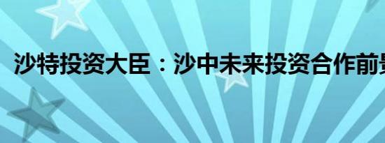 沙特投资大臣：沙中未来投资合作前景光明