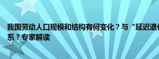 我国劳动人口规模和结构有何变化？与“延迟退休”有何联系？专家解读