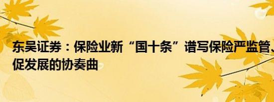 东吴证券：保险业新“国十条”谱写保险严监管、防风险与促发展的协奏曲