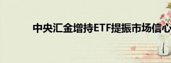 中央汇金增持ETF提振市场信心