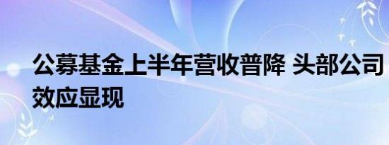 公募基金上半年营收普降 头部公司“降本”效应显现