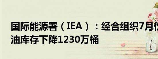 国际能源署（IEA）：经合组织7月份工业石油库存下降1230万桶