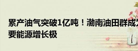 累产油气突破1亿吨！渤南油田群成为我国重要能源增长极