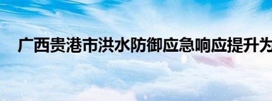 广西贵港市洪水防御应急响应提升为三级