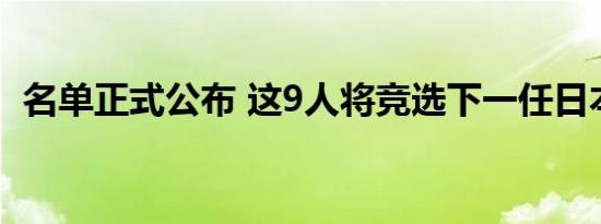 名单正式公布 这9人将竞选下一任日本首相