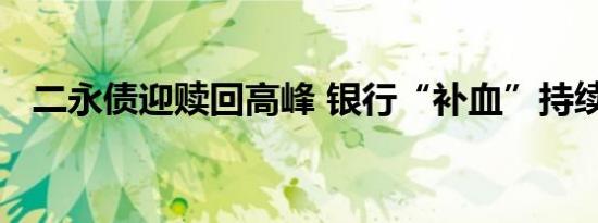 二永债迎赎回高峰 银行“补血”持续升温