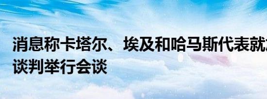 消息称卡塔尔、埃及和哈马斯代表就加沙停火谈判举行会谈