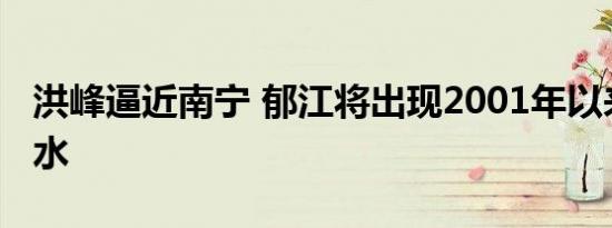 洪峰逼近南宁 郁江将出现2001年以来最大洪水