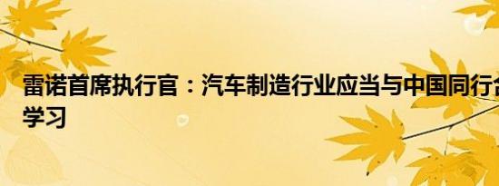雷诺首席执行官：汽车制造行业应当与中国同行合作向他们学习