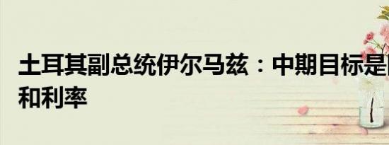 土耳其副总统伊尔马兹：中期目标是降低通胀和利率