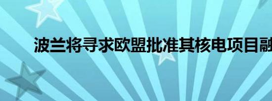 波兰将寻求欧盟批准其核电项目融资