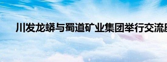 川发龙蟒与蜀道矿业集团举行交流座谈