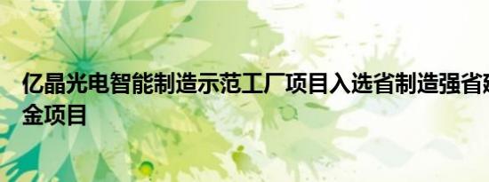 亿晶光电智能制造示范工厂项目入选省制造强省建设专项资金项目