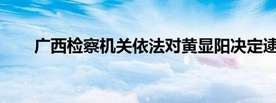 广西检察机关依法对黄显阳决定逮捕