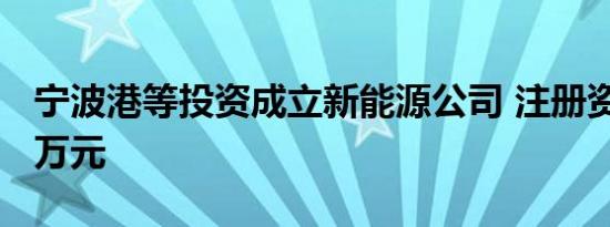 宁波港等投资成立新能源公司 注册资本6000万元