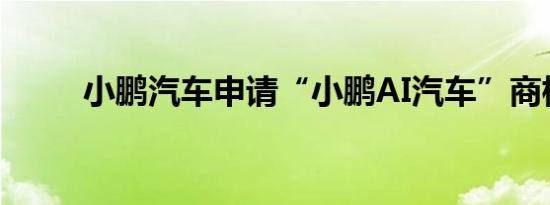 小鹏汽车申请“小鹏AI汽车”商标